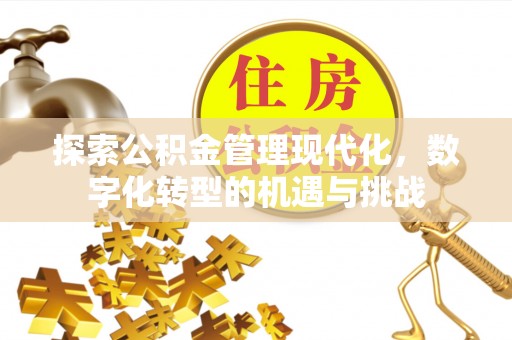 思茅探索公积金管理现代化，数字化转型的机遇与挑战