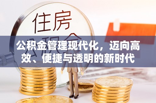 思茅公积金管理现代化，迈向高效、便捷与透明的新时代