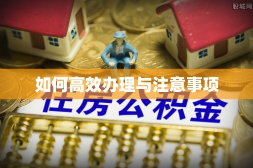 思茅如何高效办理与注意事项