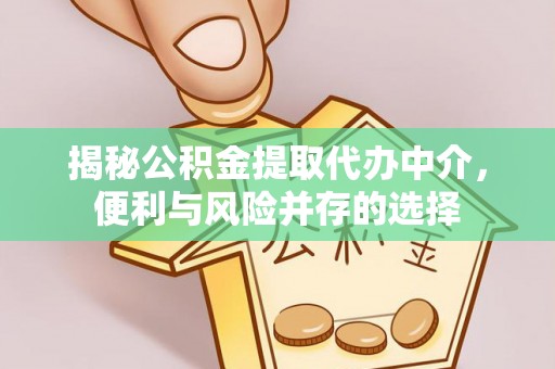 思茅揭秘公积金提取代办中介，便利与风险并存的选择