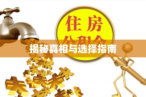 思茅揭秘真相与选择指南
