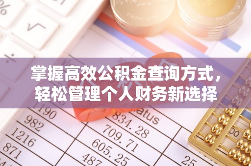 思茅掌握高效公积金查询方式，轻松管理个人财务新选择