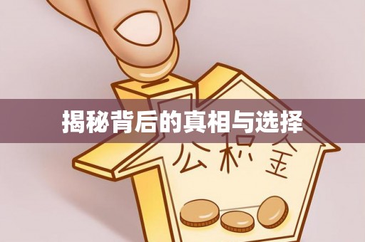思茅揭秘背后的真相与选择