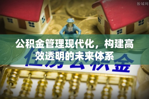 思茅公积金管理现代化，构建高效透明的未来体系