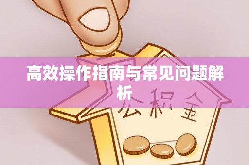 思茅高效操作指南与常见问题解析