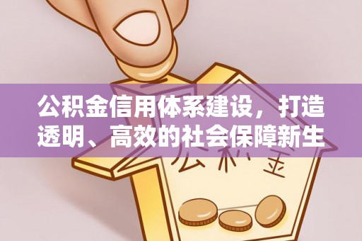 思茅公积金信用体系建设，打造透明、高效的社会保障新生态