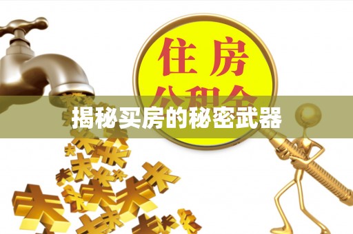 思茅揭秘买房的秘密武器