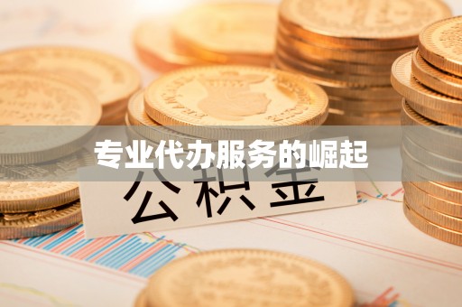 思茅专业代办服务的崛起