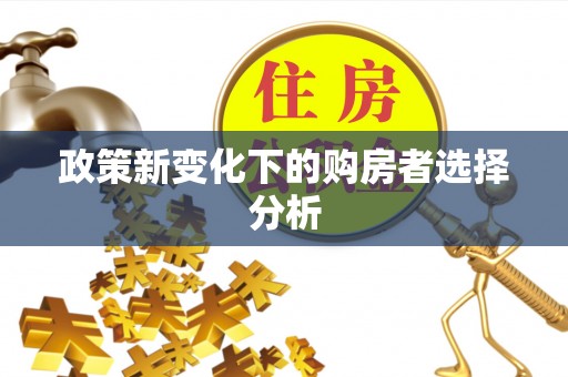 思茅政策新变化下的购房者选择分析