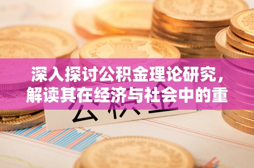 思茅深入探讨公积金理论研究，解读其在经济与社会中的重要角色