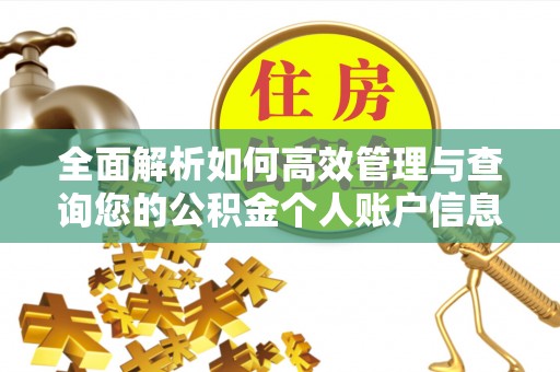 思茅全面解析如何高效管理与查询您的公积金个人账户信息