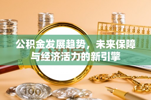 思茅公积金发展趋势，未来保障与经济活力的新引擎