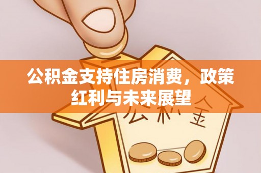 思茅公积金支持住房消费，政策红利与未来展望