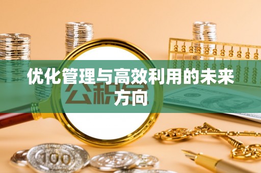思茅优化管理与高效利用的未来方向