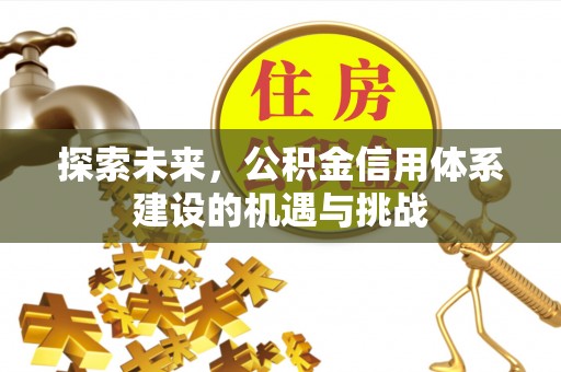 思茅探索未来，公积金信用体系建设的机遇与挑战