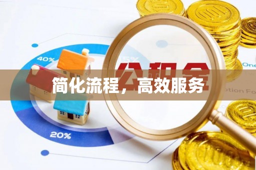 思茅简化流程，高效服务