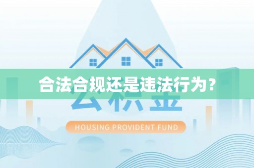 思茅合法合规还是违法行为？