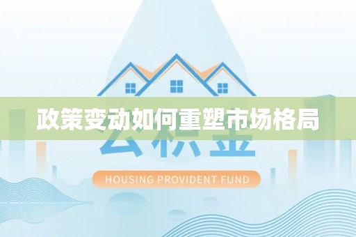 思茅政策变动如何重塑市场格局