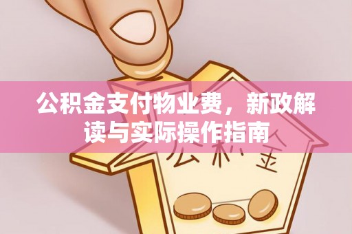 思茅公积金支付物业费，新政解读与实际操作指南