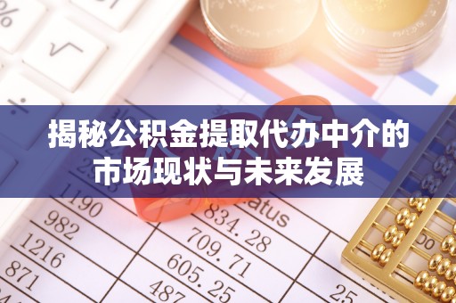 思茅揭秘公积金提取代办中介的市场现状与未来发展