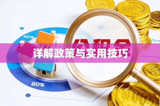 思茅详解政策与实用技巧