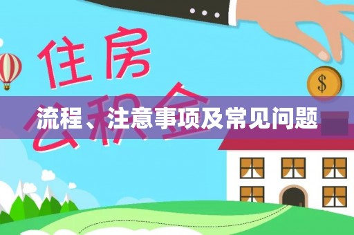思茅流程、注意事项及常见问题